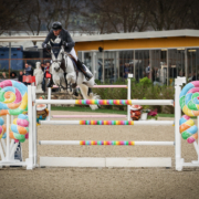 Piergiorgio Bucci on Pallieter VDN. Ranch