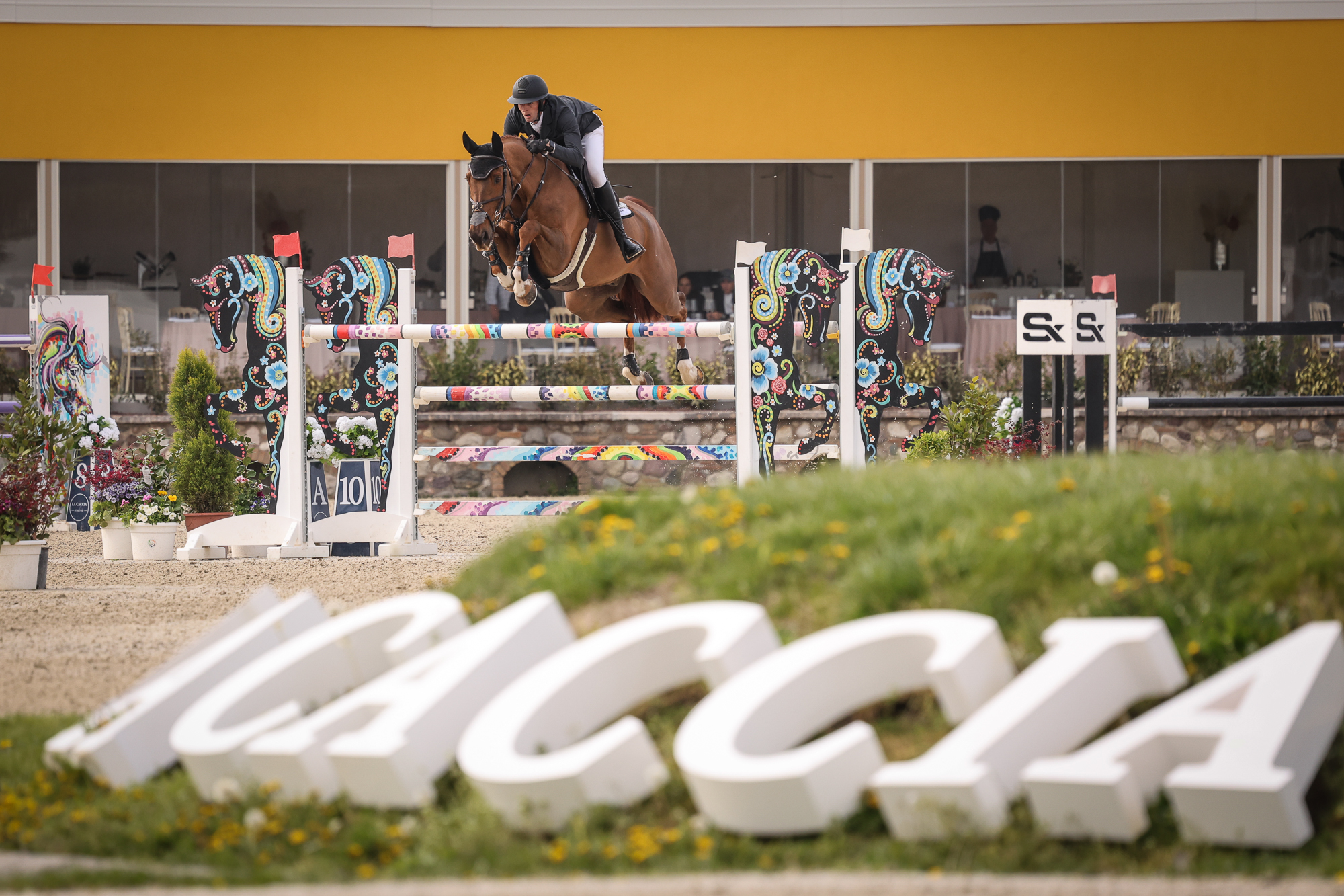 Scuderia La Caccia show jumping Lake Garda 2026 - Louis Wood - GBR - on Filou Moussardiere Scuderia La Caccia show jumping Lake Garda 2026 - Louis Wood - GBR - on Filou Moussardiere