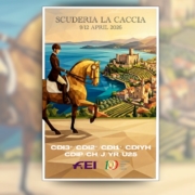 Cdi3* - Scuderia la Caccia, Bedizzole - ITA