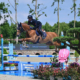Csio3* Les La Caccia Emilio Bicocchi on Hemerald d'Argonne ©Sassofotografie