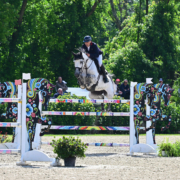 Csio3* La Caccia MOURIER Jean Luc (FRA)/©Sassofotografie Csio3* La Caccia MOURIER Jean Luc (FRA)/©Sassofotografie