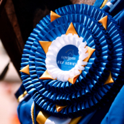 Coppa delle Nazioni CSIO3* Bedizzole Longines EEF Series © EEF