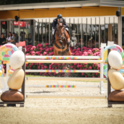 Matteo Checchi Elixir de Chalusse Grand Prix CSI2 Scuderia La Caccia Bedizzole 2026 Matteo Checchi Elixir de Chalusse Grand Prix CSI2 Scuderia La Caccia Bedizzole 2026