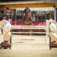 Matteo Checchi Elixir de Chalusse Grand Prix CSI2 Scuderia La Caccia Bedizzole 2026