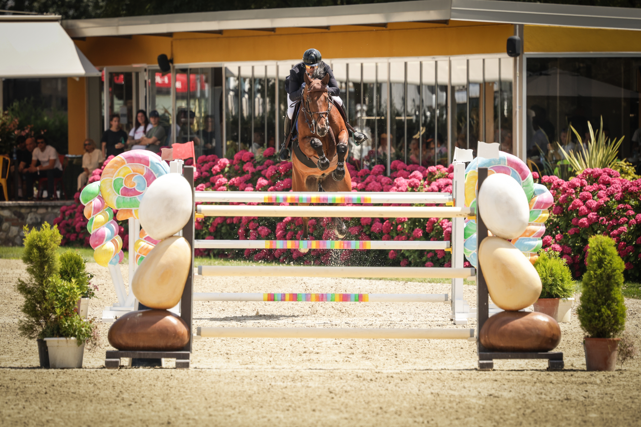 Matteo Checchi Elixir de Chalusse Grand Prix CSI2 Scuderia La Caccia Bedizzole 2026 Matteo Checchi Elixir de Chalusse Grand Prix CSI2 Scuderia La Caccia Bedizzole 2026